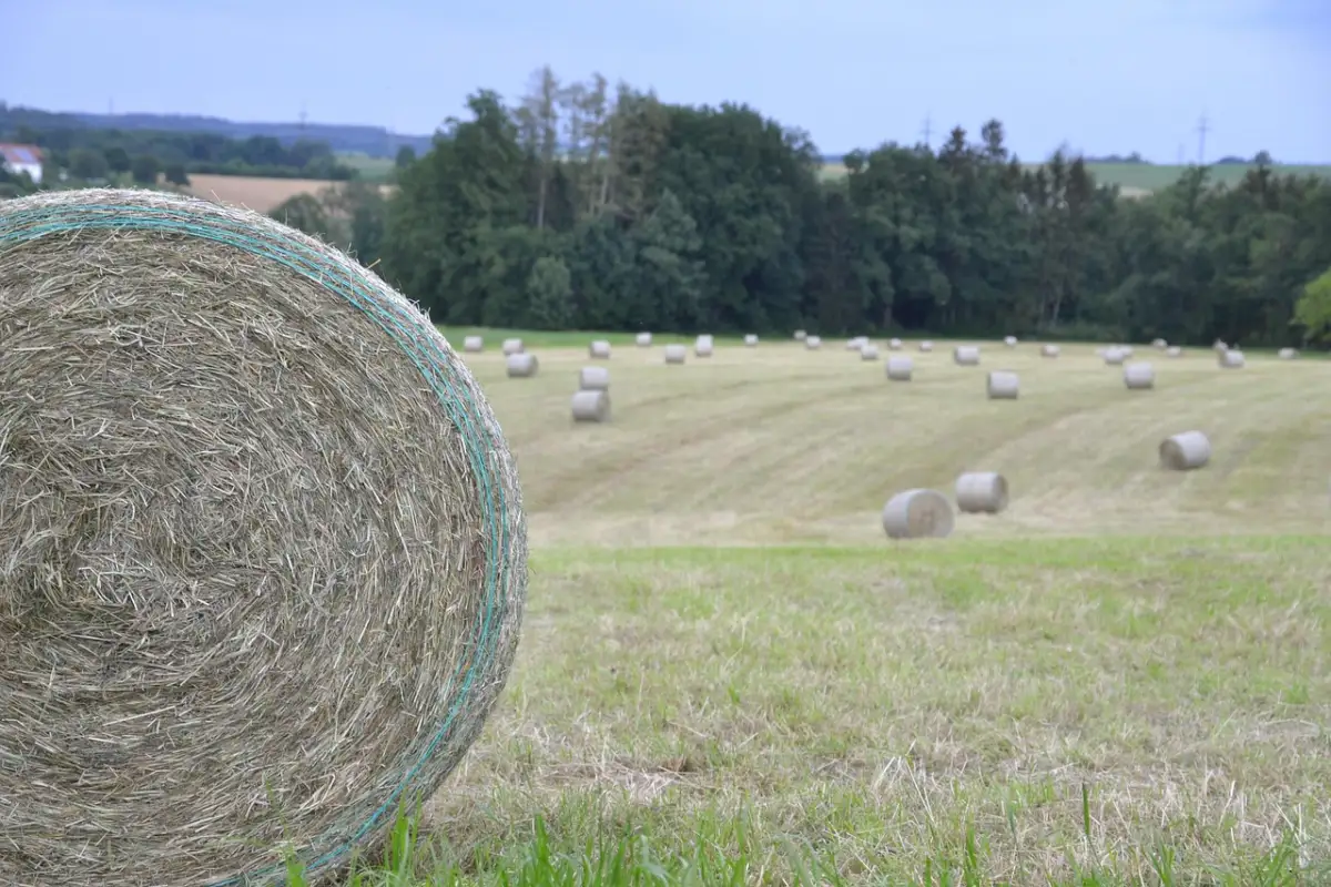 緊張を味方につける本番直前の心構えとテクニック