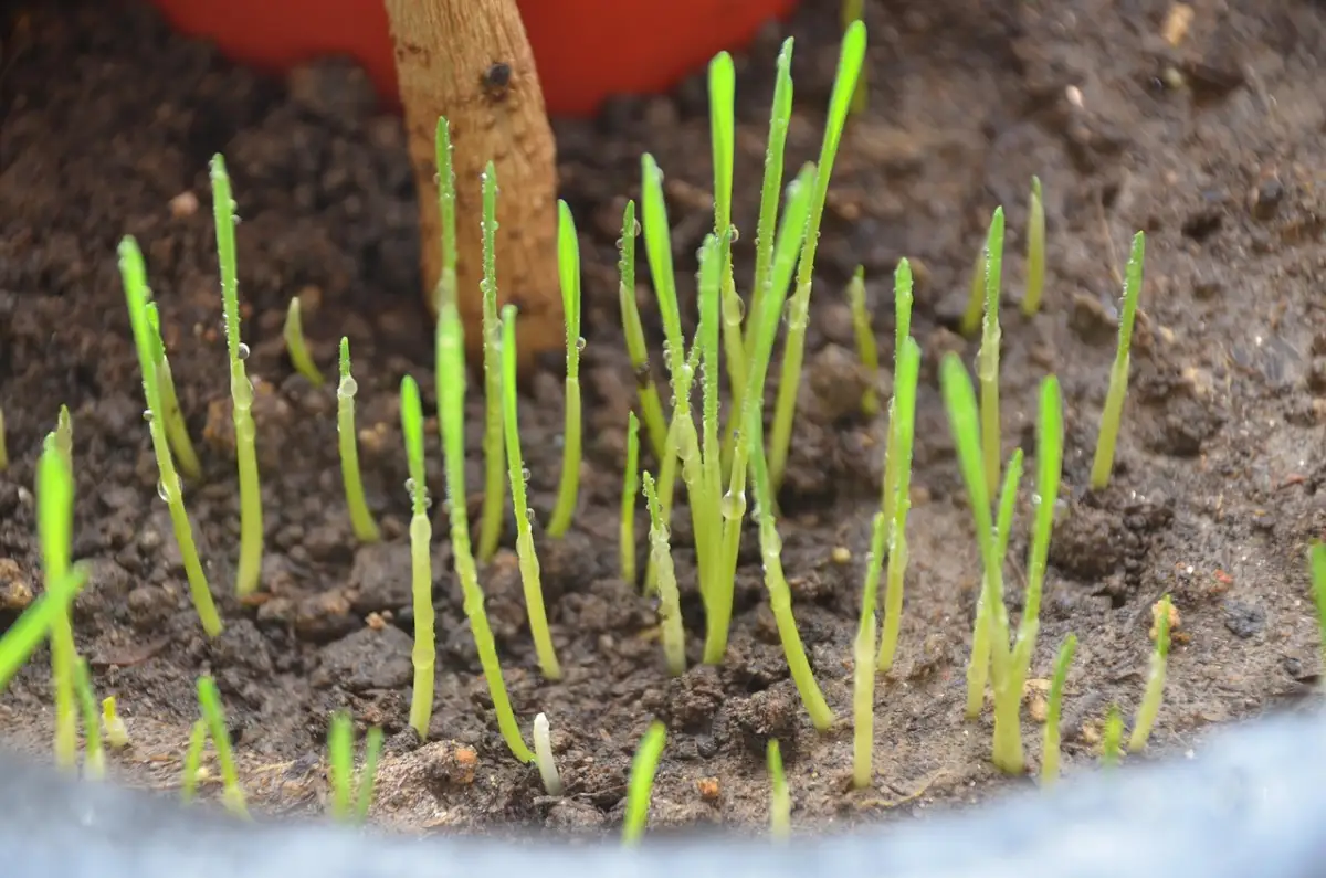 転職理由を前向きに変換する言葉選びのコツ