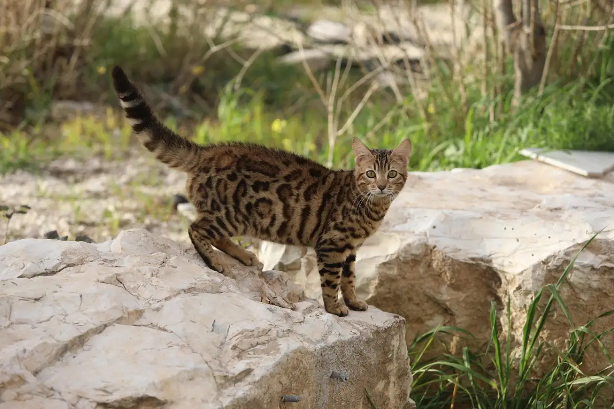 失敗を成長の糧に変える方法