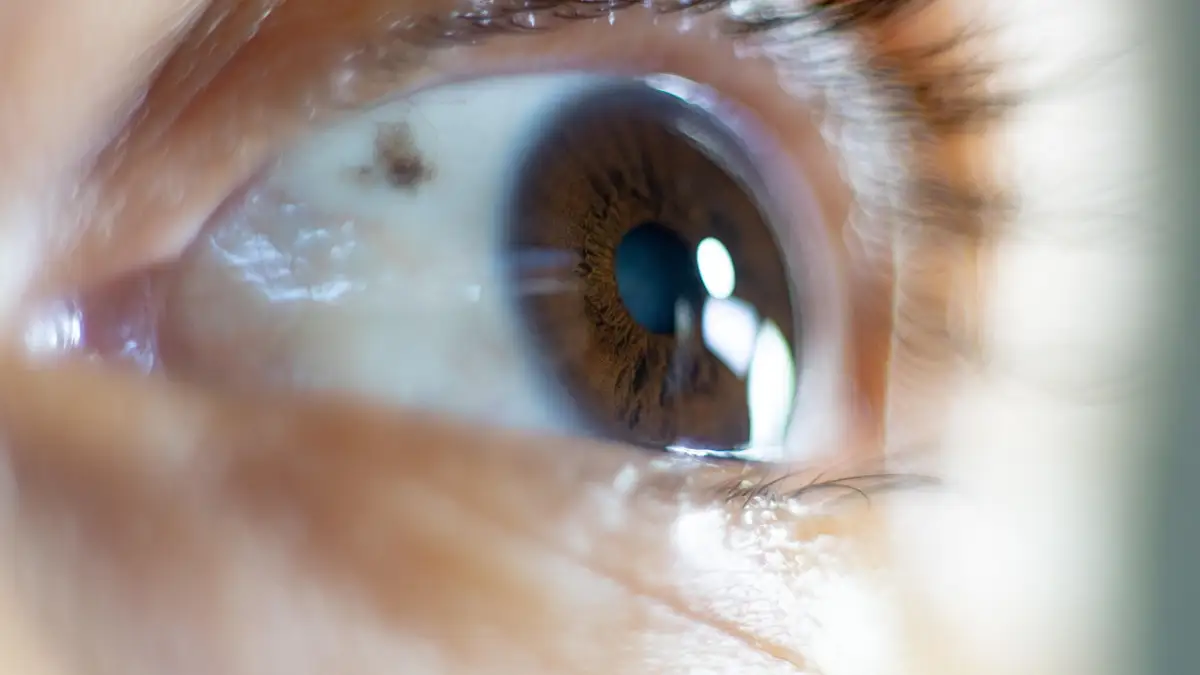 職種別・年代別で異なる響くフレーズの法則