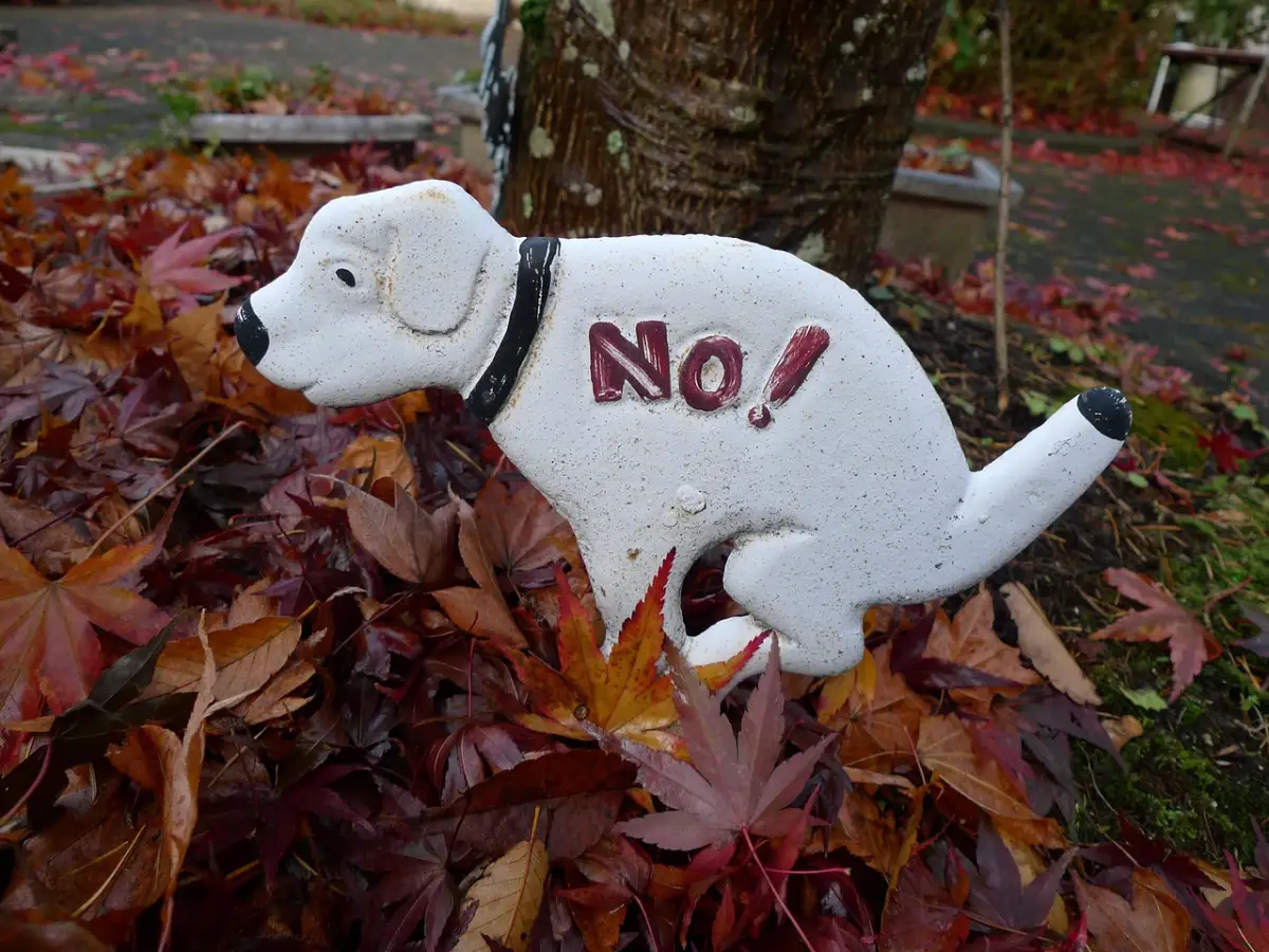 副業を始める前に確認すべき雇用契約のポイント