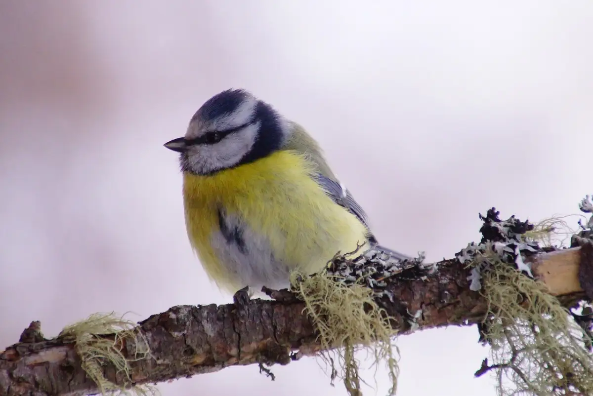 医療事務が転職活動で押さえるべき3つの準備