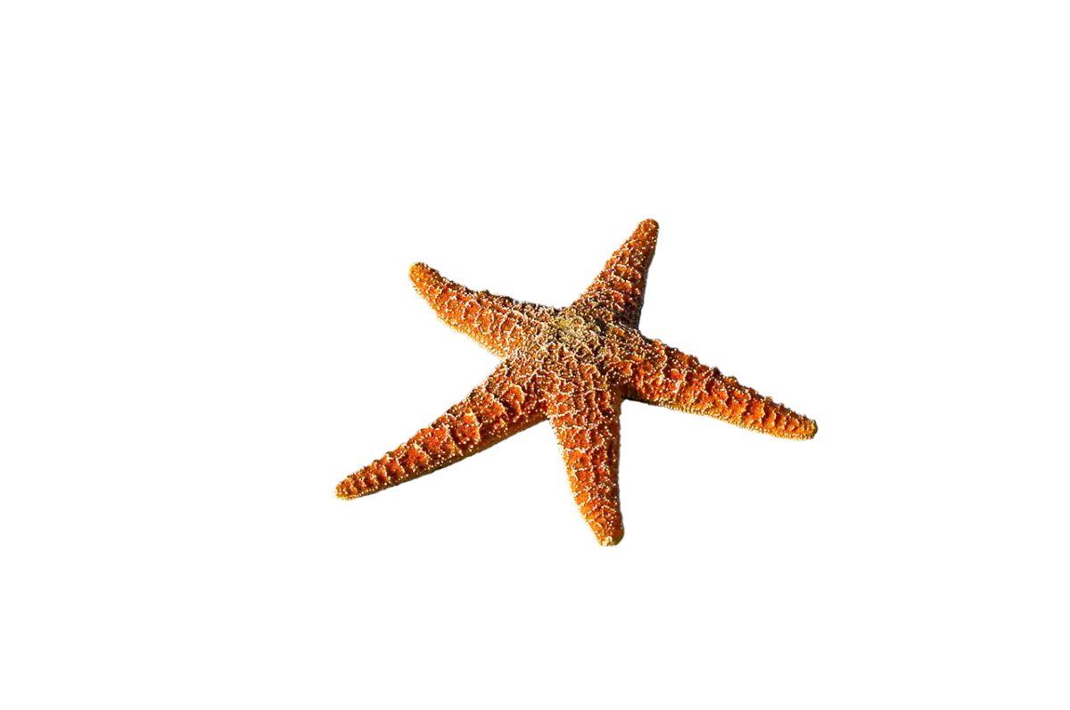 面接官の心をつかむ「社風」の伝え方と具体例