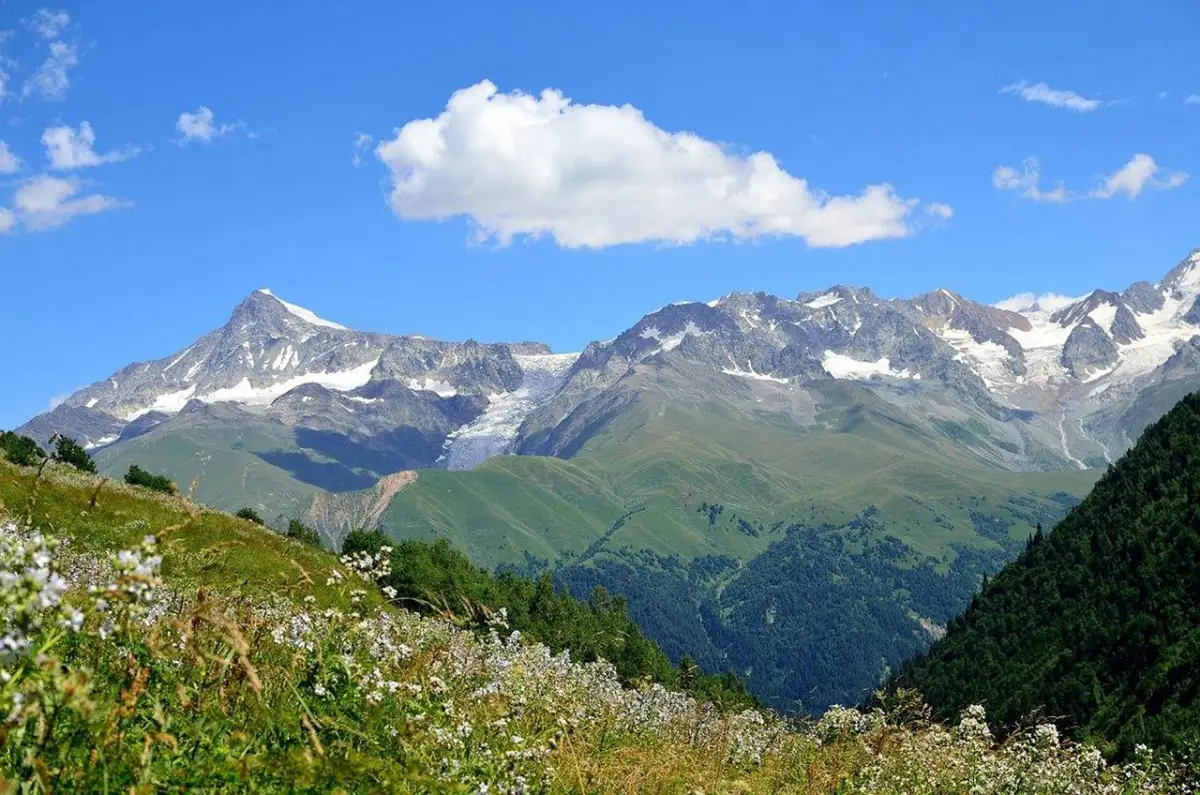 ポートフォリオに命を吹き込む具体的なストーリー構築