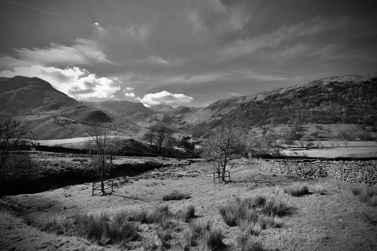 地方企業で安定して働くための思考法