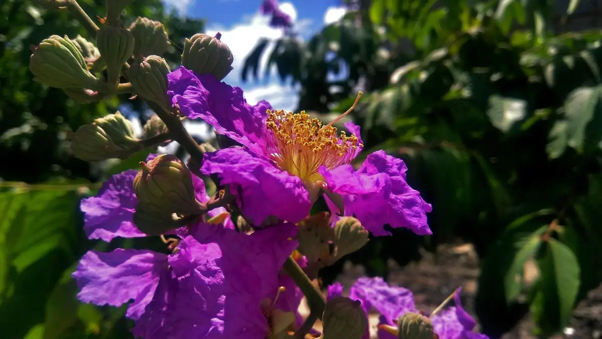 エンジニアが転職後に評価される3つの要素