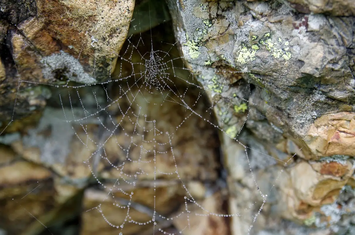 転職すべきか否か 収入増加の分岐点を探る