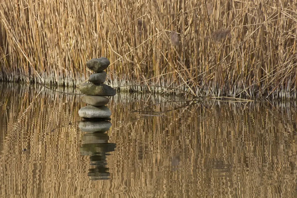 経験と謙虚さのバランスが生む説得力